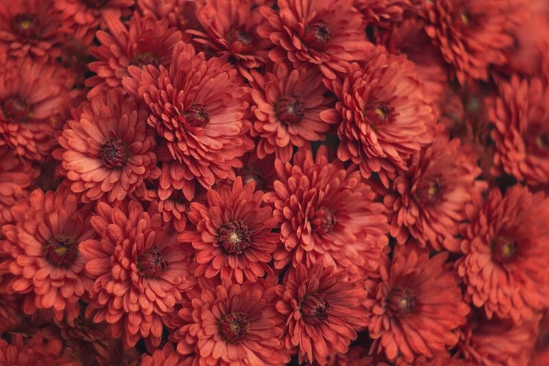 nadiya-ploschenko-gWzHb-sTDlk-unsplash